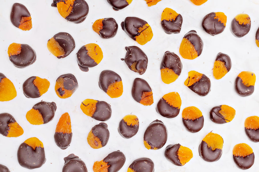 Chocolate Covered Apricot